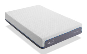 Mlily Bamboo+ Superb Memory 2500 Pocket Mattress, King Size